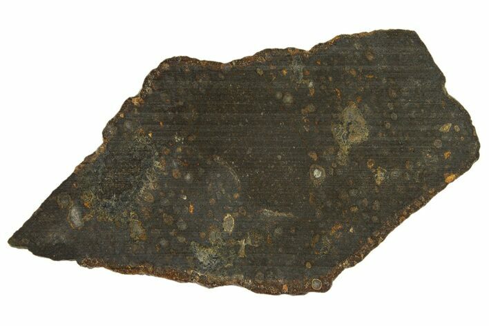 Carbonaceous Chondrite Meteorite ( g) Slice - NWA #308379